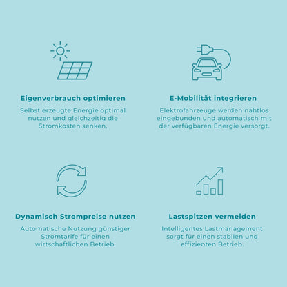 Intelligentes Energiemanagement HEMS